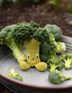 Broccoli Floret Kit