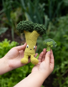 Broccoli Floret Kit