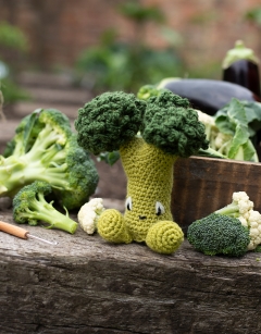 Broccoli Floret Kit