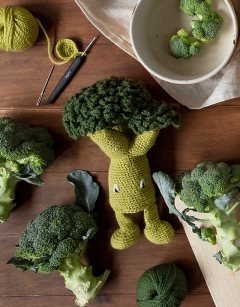Broccoli Kit