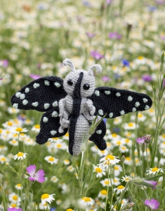 METAMORPHOSIS: Ophelia Kit