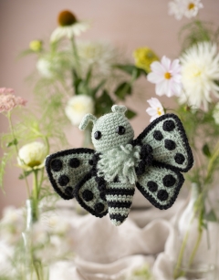 Fluttering Discovery Box