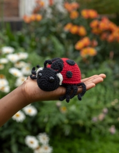 Fluttering Discovery Box