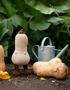 Butternut Squash Kit