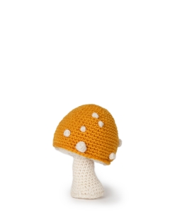 Button Toadstool