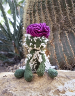 Cactus Kit