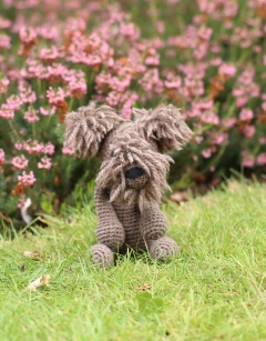 Heather the Cairn Terrier