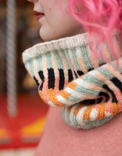 Carousel Cowl