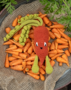 Chantenay Carrot Kit