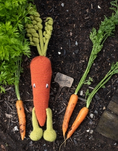 Carrot Kit