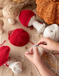 SAT 1.30pm: Crochet  a Magical Toadstool