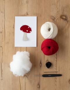SAT 1.30pm: Crochet  a Magical Toadstool