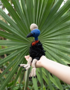 Kevin the Cassowary