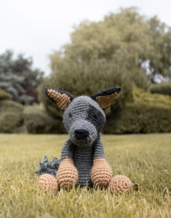 Cheryl the Australian Cattle Dog