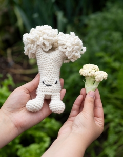 Cauliflower Floret Kit