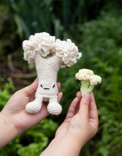 Cauliflower Floret Kit