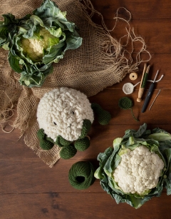 Cauliflower Kit