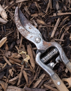 Secateurs Enamel Centraliser