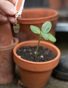 Seedling Enamel Centraliser