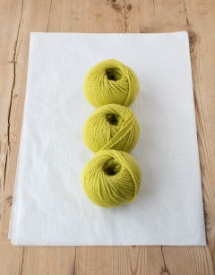 Kerry the Chameleon: Lime