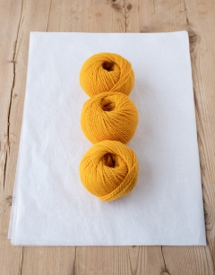 Kerry the Chameleon: Yellow