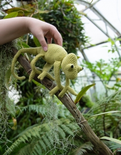 Kerry the Chameleon: Lime