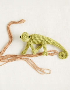 Jungle Discovery Box