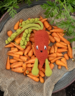 Chantenay Carrot Kit