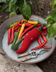 Chilli Pepper Kit