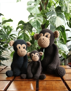 Benedict the Chimpanzee