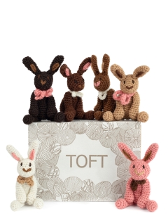 Chocolate Rabbit Discovery Box