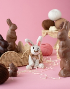 Chocolate Rabbit Discovery Box