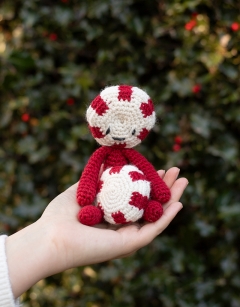 Christmas Sweets Discovery Box