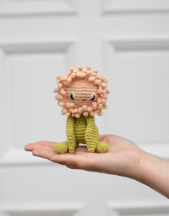 Mini Chrysanthemum