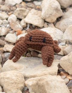 JUMBO Cedric the Crab