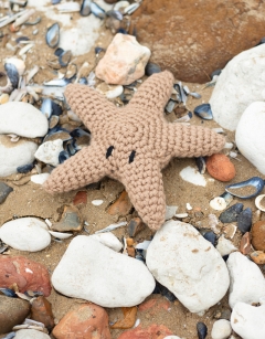 JUMBO Ringo the Starfish