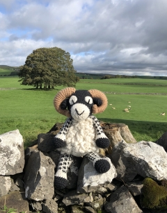 Giant Dominic the Swaledale Sheep