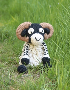 Giant Dominic the Swaledale Sheep