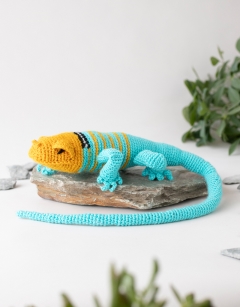 Erik the Collared Lizard