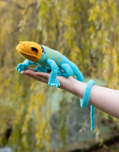Erik the Collared Lizard