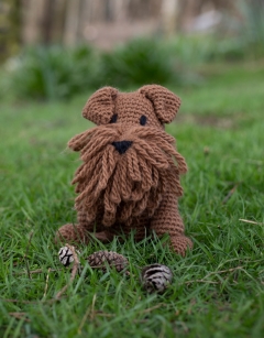 Connor the Irish Terrier