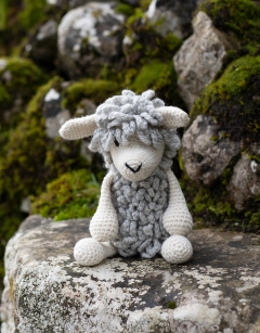 Marian the Corriedale Sheep