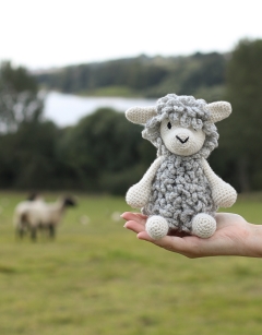 Marian the Corriedale Sheep