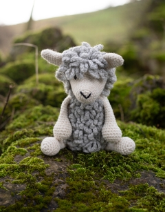 Marian the Corriedale Sheep