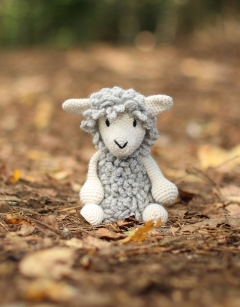 Marian the Corriedale Sheep