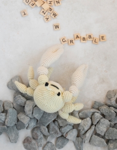 Amarillo the Ghost Crab