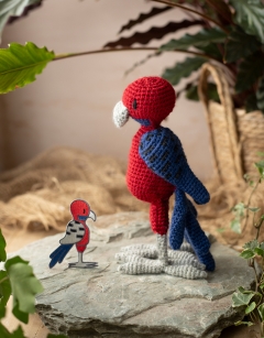 Yantra the Crimson Rosella