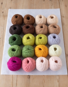 Spring Flower Fairies Bundle