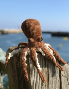 Graeme the Octopus 