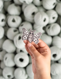 Cordelia the Pierrot Butterfly